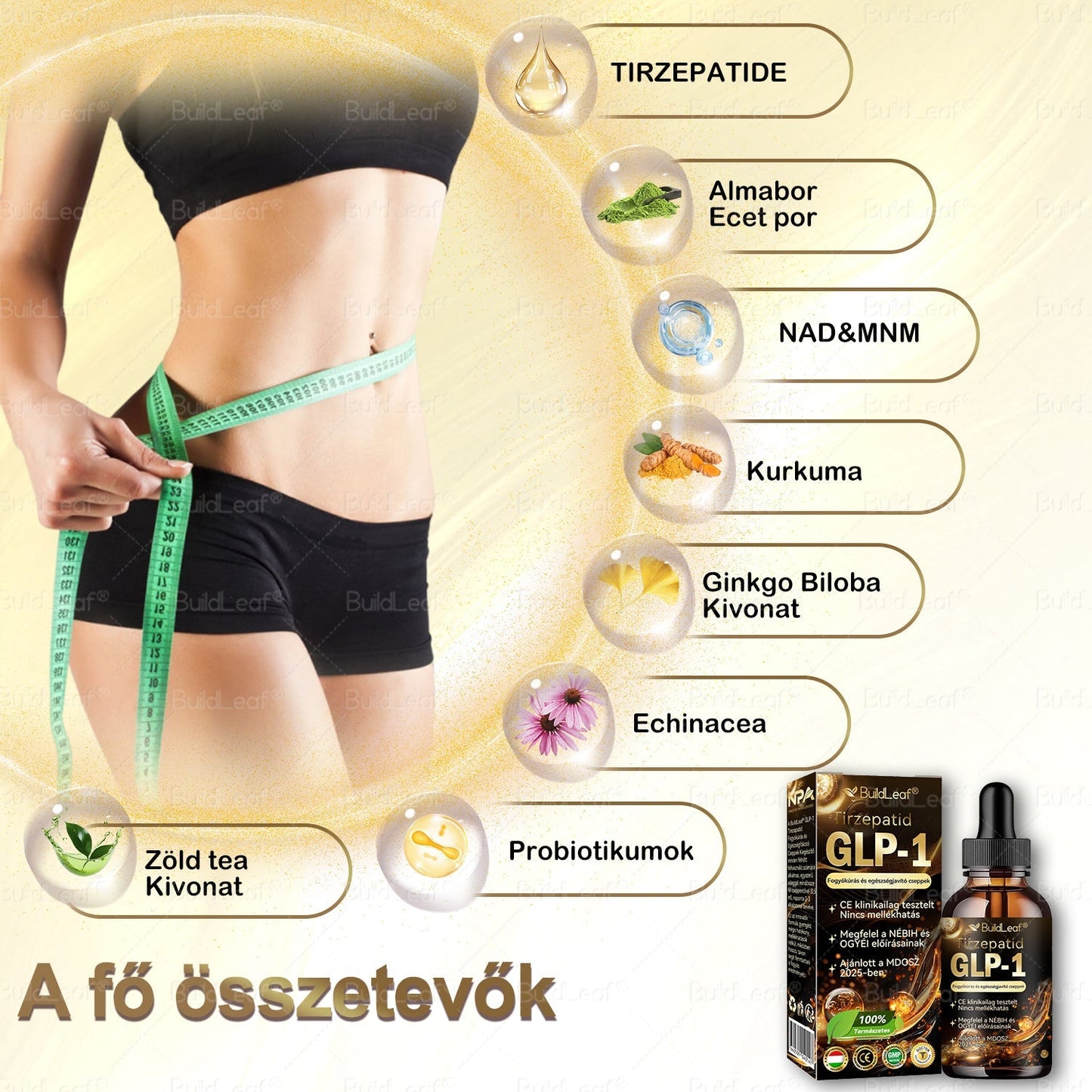 👩⚕️A Mayo Clinic által ajánlott | Hivatalos üzlet | BuildLeaf® GLP-1 Moringa Fogyókúrás és Egészségfokozó cseppek 🔥 (Élelmiszer-minőségű zsírégető – Az Obesity Society fejlesztése)