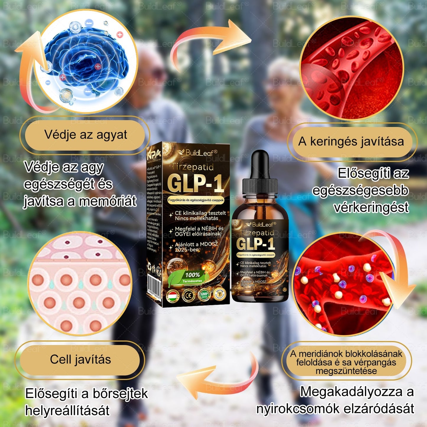 👩⚕️A Mayo Clinic által ajánlott | Hivatalos üzlet | BuildLeaf® GLP-1 Moringa Fogyókúrás és Egészségfokozó cseppek 🔥 (Élelmiszer-minőségű zsírégető – Az Obesity Society fejlesztése)